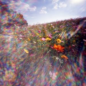 Meet your Posher, Kaitlyn